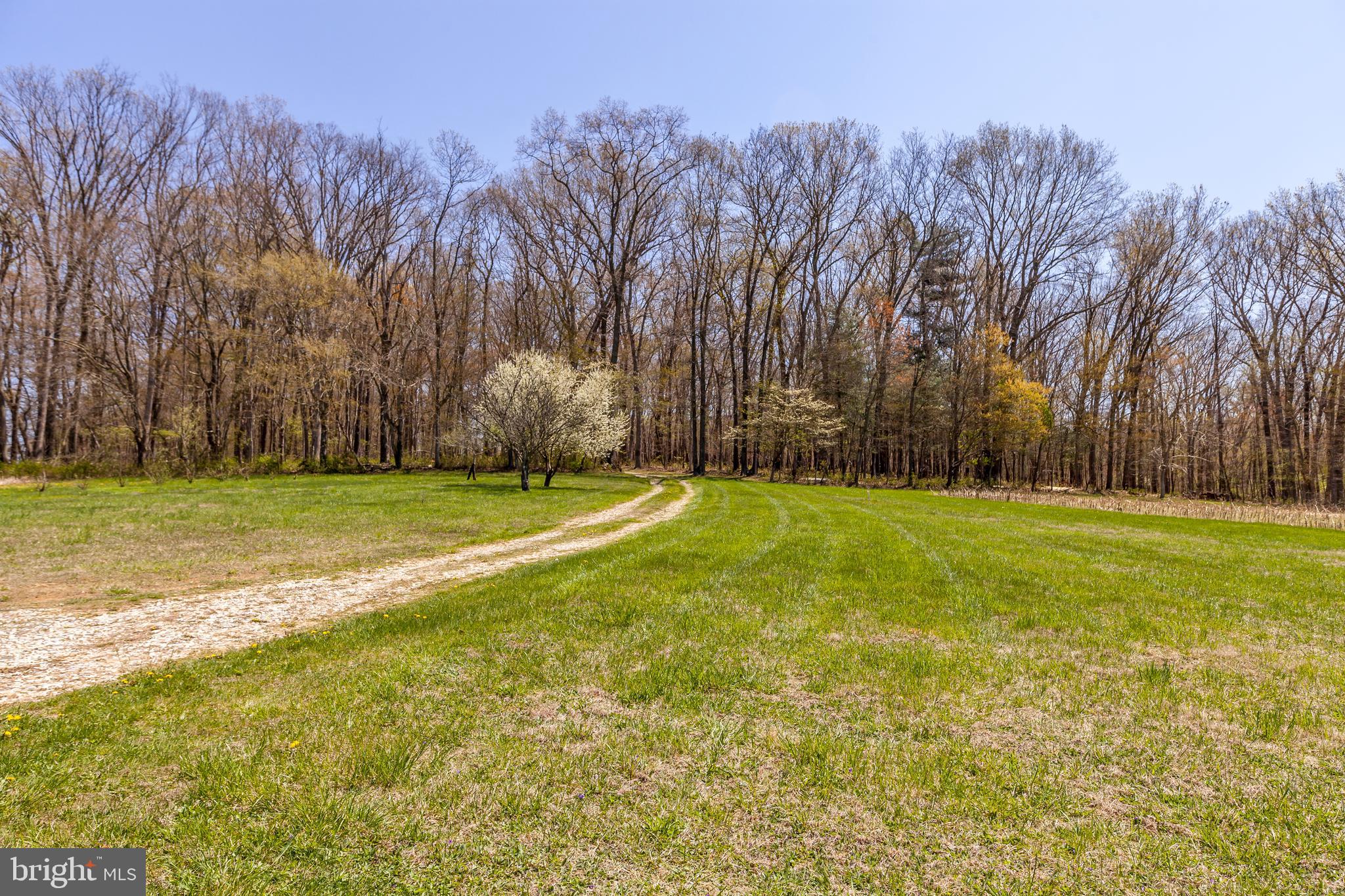 2251 Traceys Store Road Parkton, MD 21120 - Photo 42 of 45 Gallery Image 42