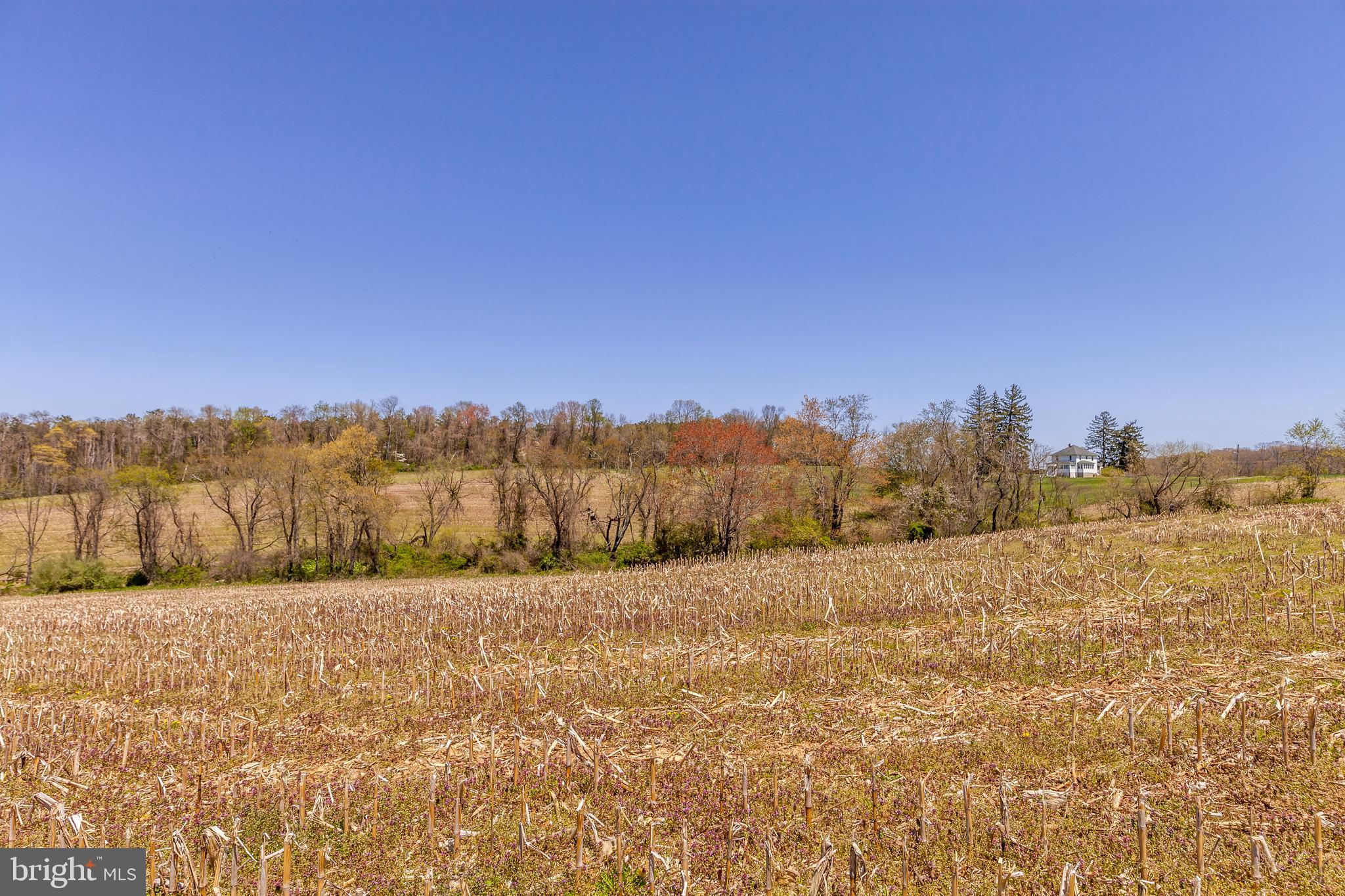 2251 Traceys Store Road Parkton, MD 21120 - Photo 43 of 45 Gallery Image 43