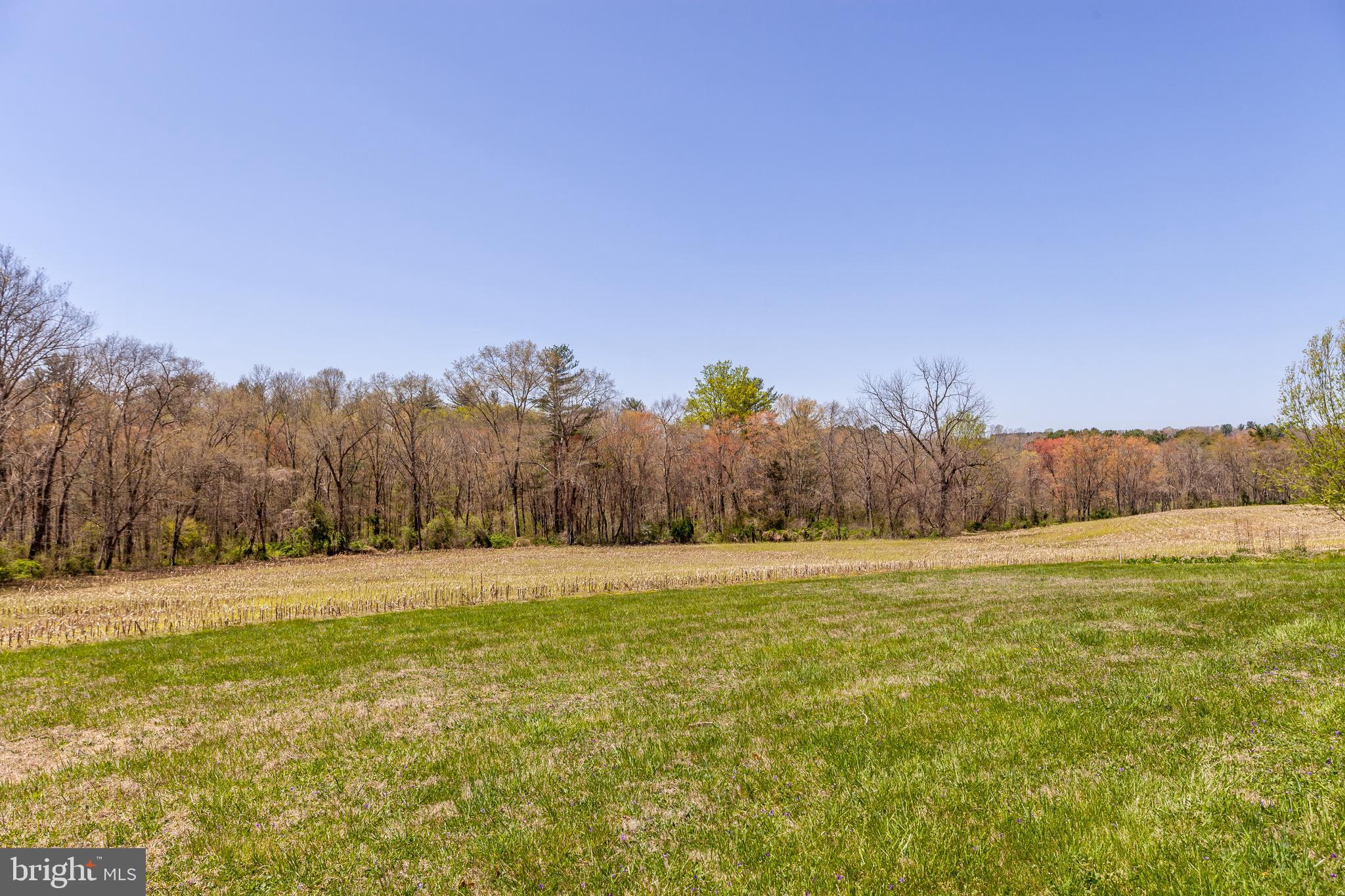 2251 Traceys Store Road Parkton, MD 21120 - Photo 45 of 45 Gallery Image 45