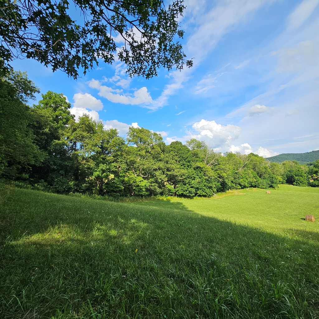 0 Widener Valley Road Glade Spring, VA 24340 - Photo 8 of 16 Gallery Image 8