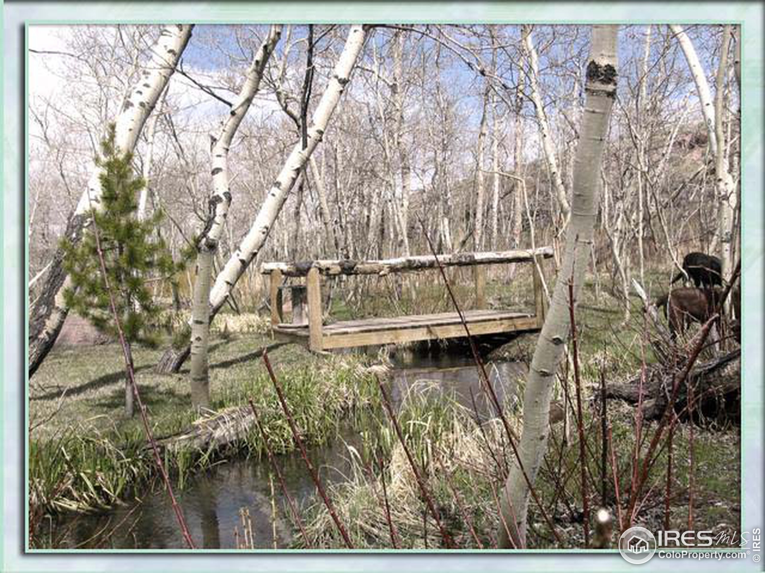 2088 County Road Livermore, CO 80536 - Photo 2 of 10 Gallery Image 2