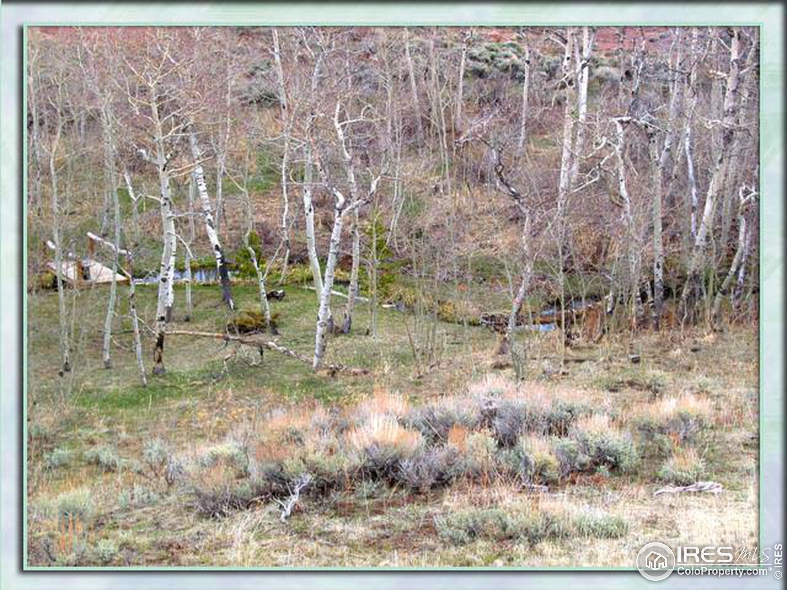 2088 County Road Livermore, CO 80536 - Photo 4 of 10 Gallery Image 4