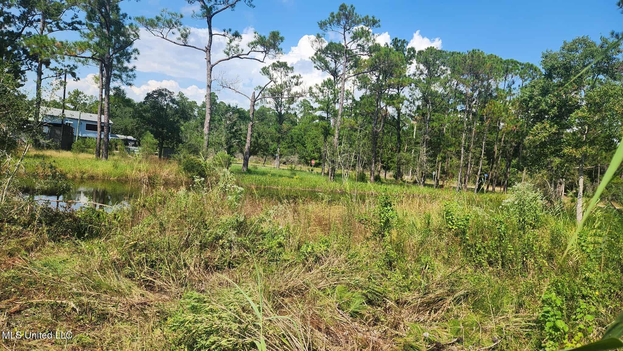 Lot 140 Ruby Street Bay St. Louis, MS 39520 - Photo 5 of 11 446e3180-1d3a-442b-8c0c-d6d7cad8a69e
