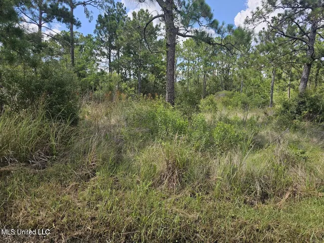 $8,900 | Lot 140 Ruby Street, Bay St. Louis, MS 39520