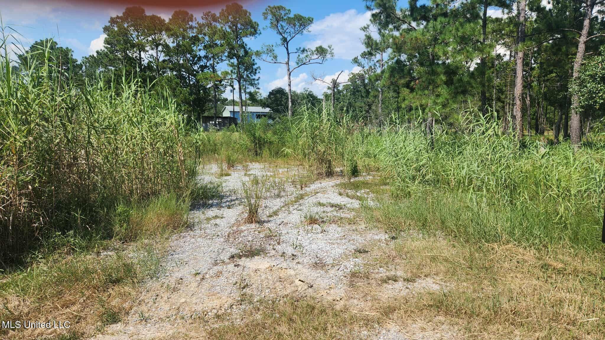 Lot 140 Ruby Street Bay St. Louis, MS 39520 - Photo 8 of 11 1d618859-7e1f-4ddb-b0db-737ebc9f8759 (1)