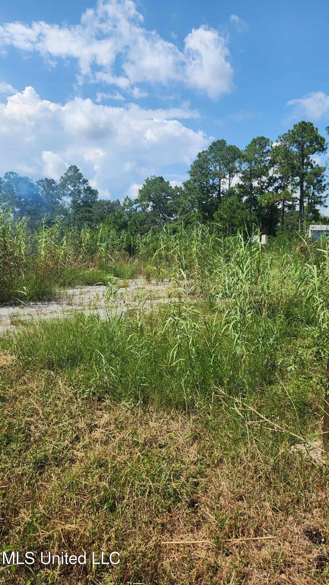 Lot 140 Ruby Street Bay St. Louis, MS 39520 - Photo 9 of 11 8aa207bc-af75-42ff-b25f-cb29f25418e2