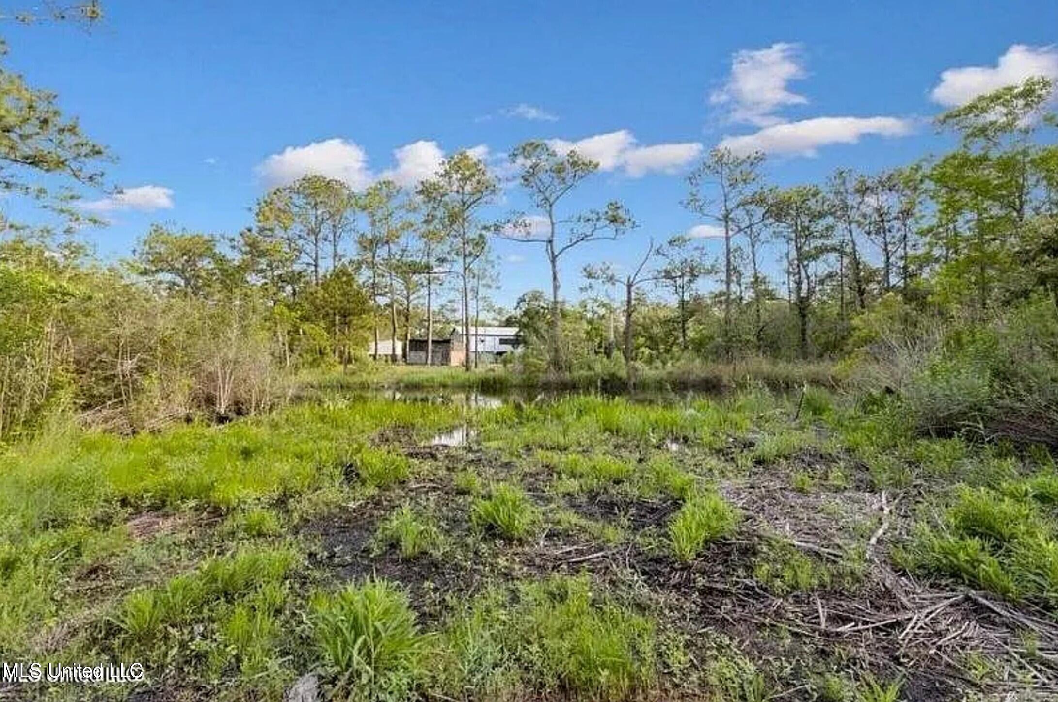 Lot 140 Ruby Street Bay St. Louis, MS 39520 - Photo 10 of 11 ruby street property5