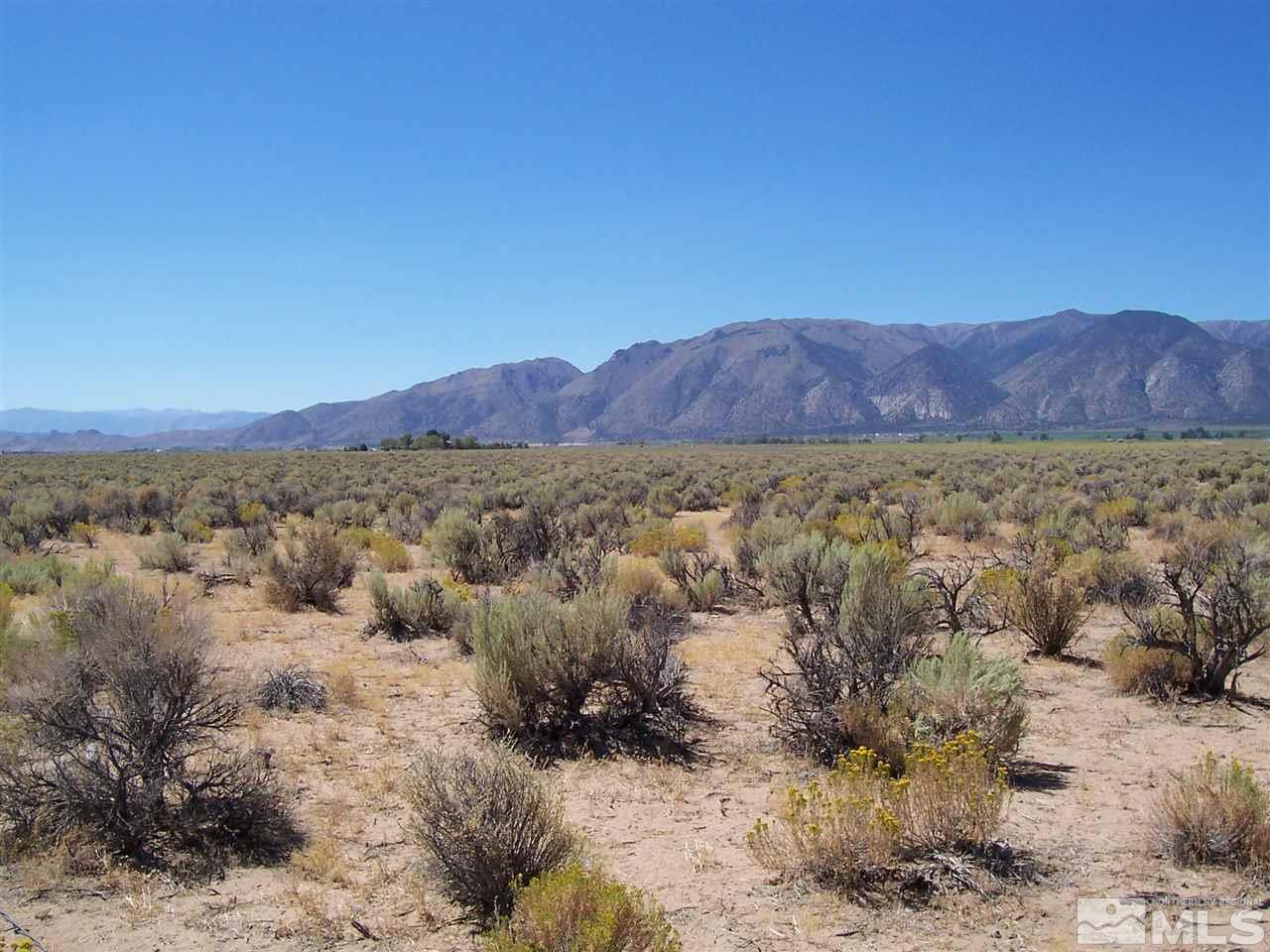 Jessen Rd, Unit 2 Wellington, NV 89444 - Photo 4 of 5 Photo 5