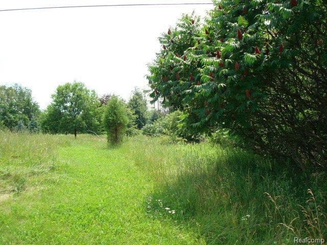 1 Lassier Road Romeo, MI 48065 - Photo 10 of 11 DSC03334