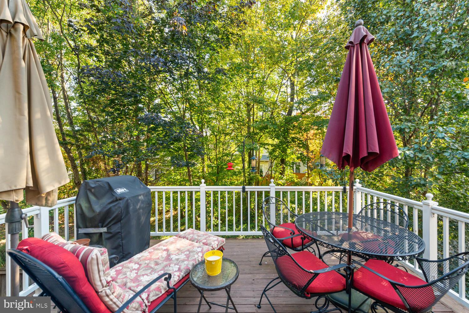 11483 Heritage Commons Way Reston, VA 20194 - Photo 42 of 47