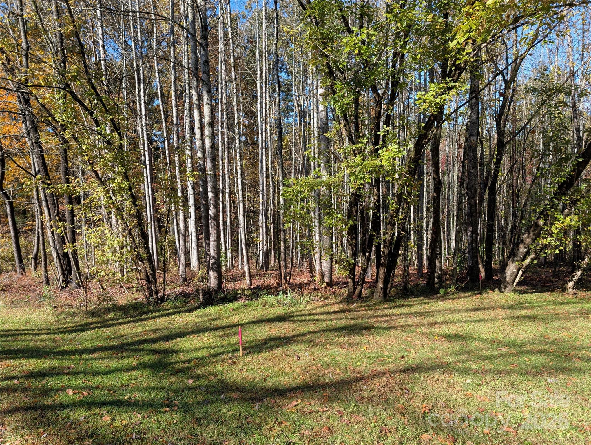 0 Old Roper Road Hendersonville, NC 28791 - Photo 2 of 8 a view of a volley ball court