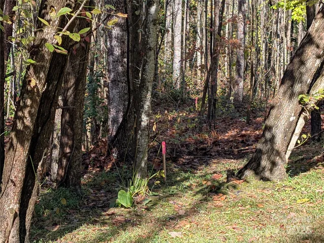 a backyard of a house with a tree