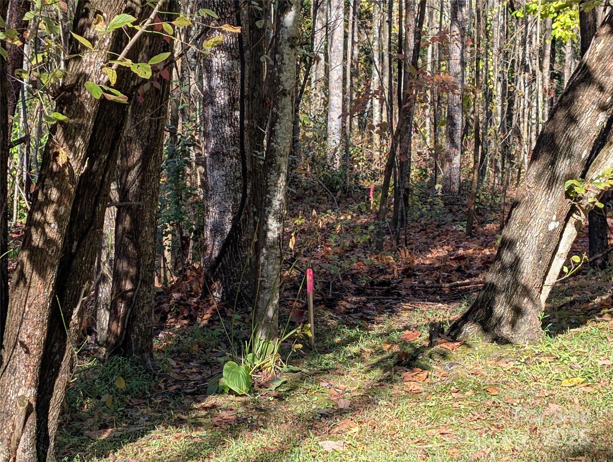 0 Old Roper Road Hendersonville, NC 28791 - Photo 3 of 8 a backyard of a house with a tree