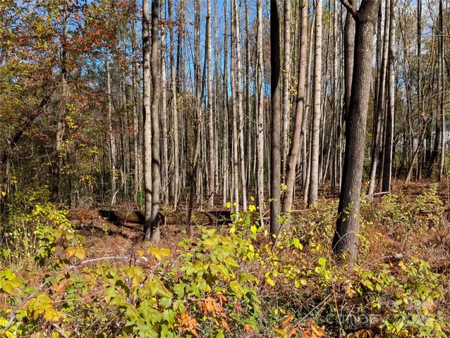 a backyard of a house with large trees