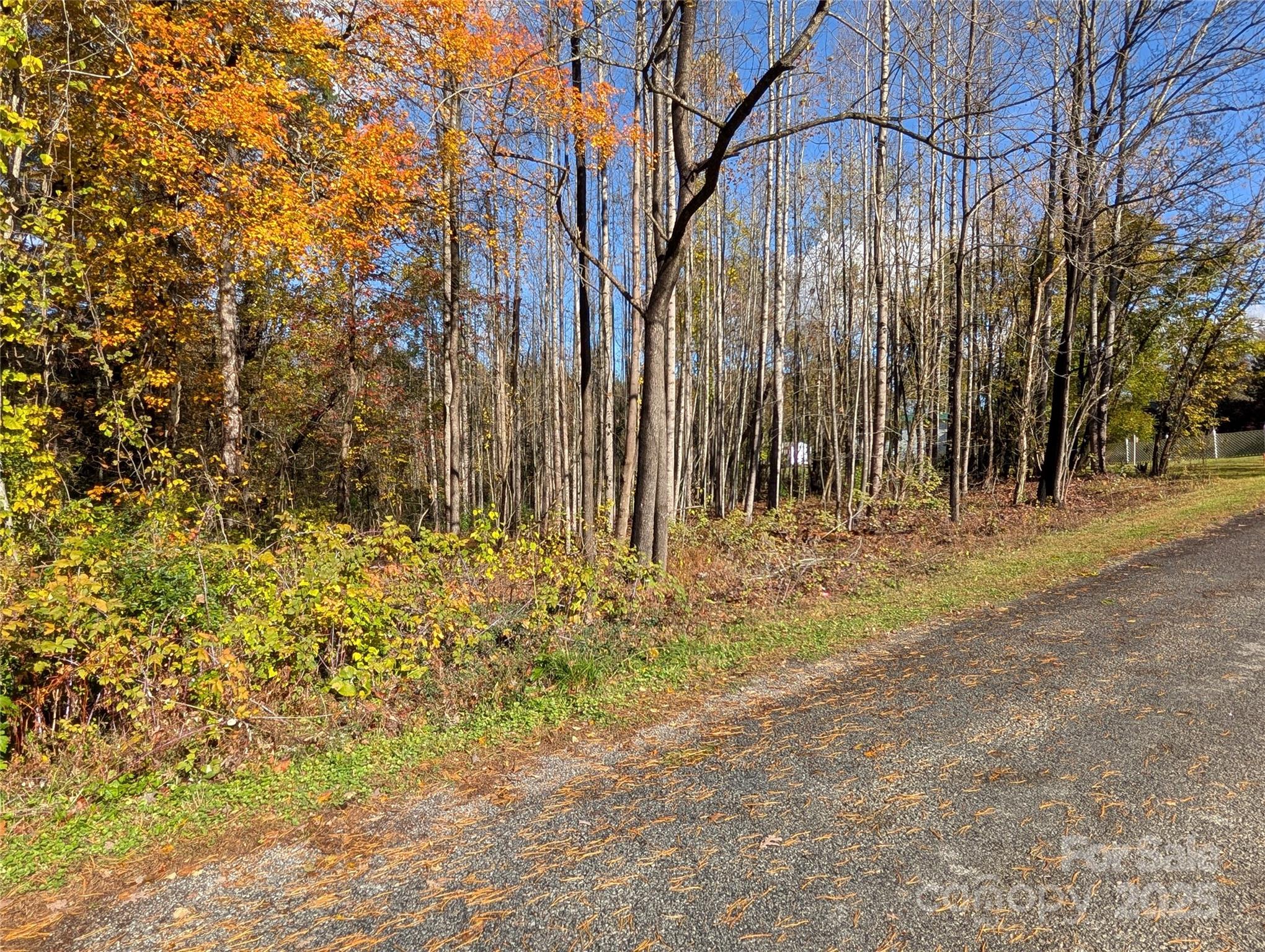 0 Old Roper Road Hendersonville, NC 28791 - Photo 6 of 8 a backyard of a house with large trees