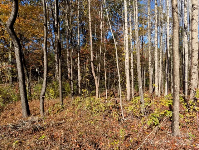 $59,500 | 0 Old Roper Road, Hendersonville, NC 28791