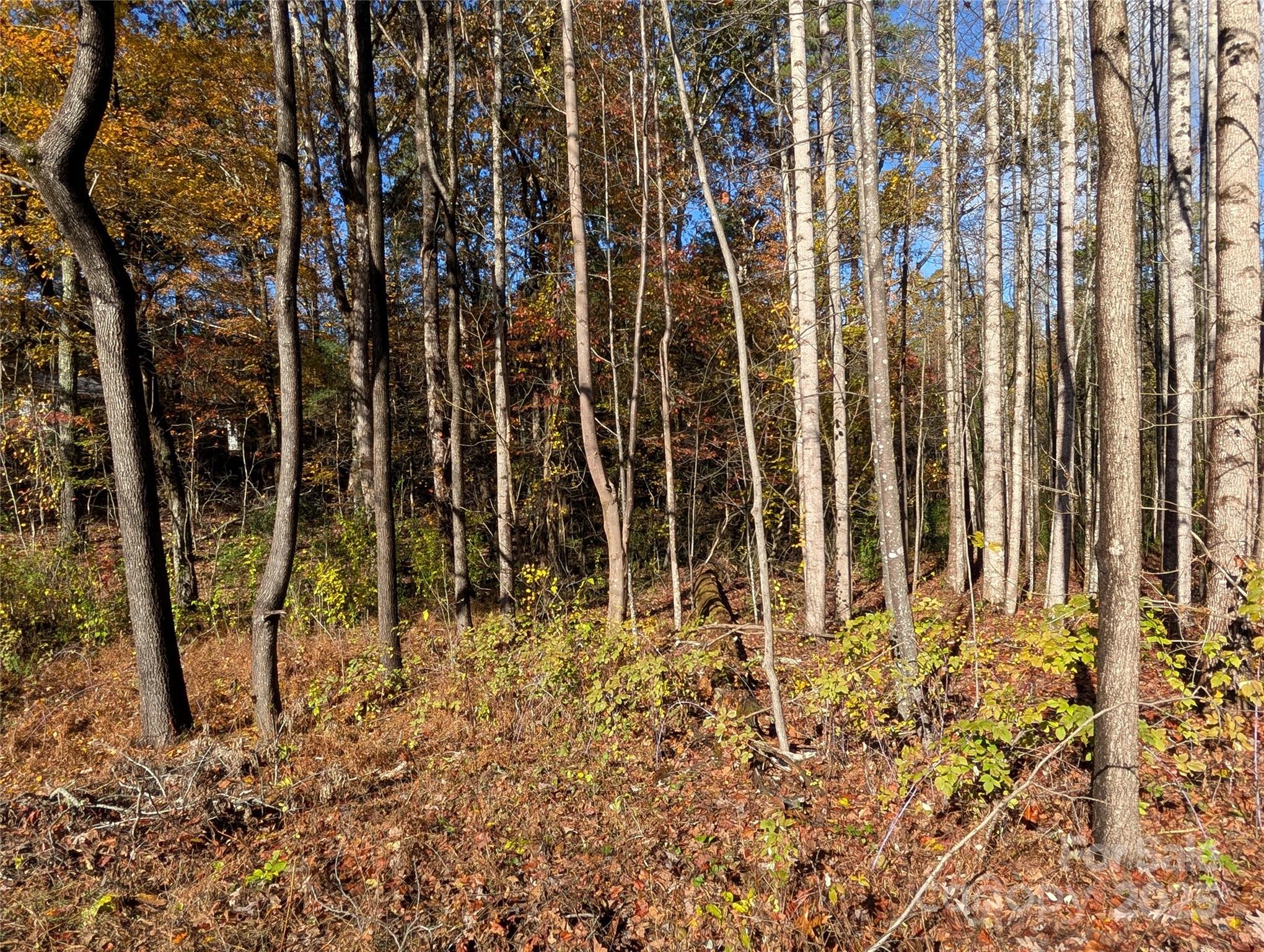 0 Old Roper Road Hendersonville, NC 28791 - Photo 7 of 8