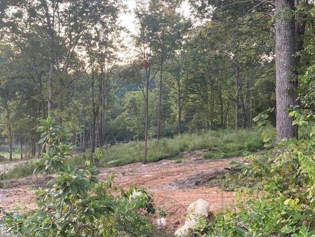 Lot 3 Raleigh Wilson Road Bowling Green, KY 42101 - Photo 1 of 1 Gallery Image 1