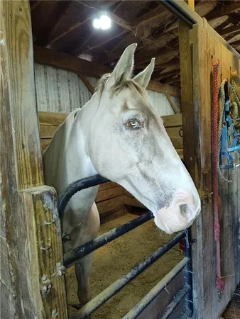 a view of a lake with mountains in the background