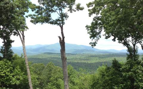 693 Hickory Ridge Drive Ellijay, GA 30536 - Photo 1 of 1 Main View