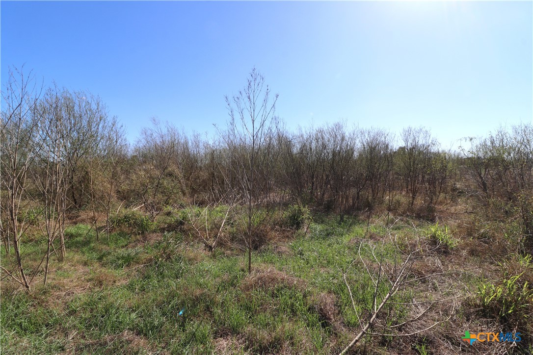 0 Cotton Street Fannin, TX 77960 - Photo 24 of 25