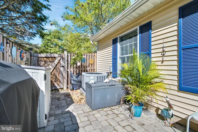 a view of backyard with potted plants and large tree