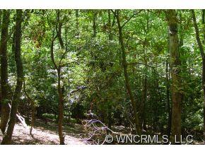 33 Dividing Ridge Trail, Unit 13 Arden, NC 28704 - Photo 2 of 3 Gallery Image 2