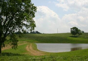 0 Fairfield Way Georgetown, KY 40324 - Photo 6 of 9 Photo 6