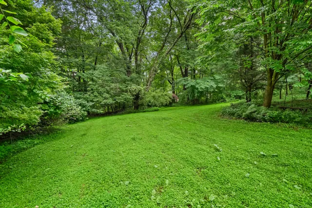 a view of a green field with plants