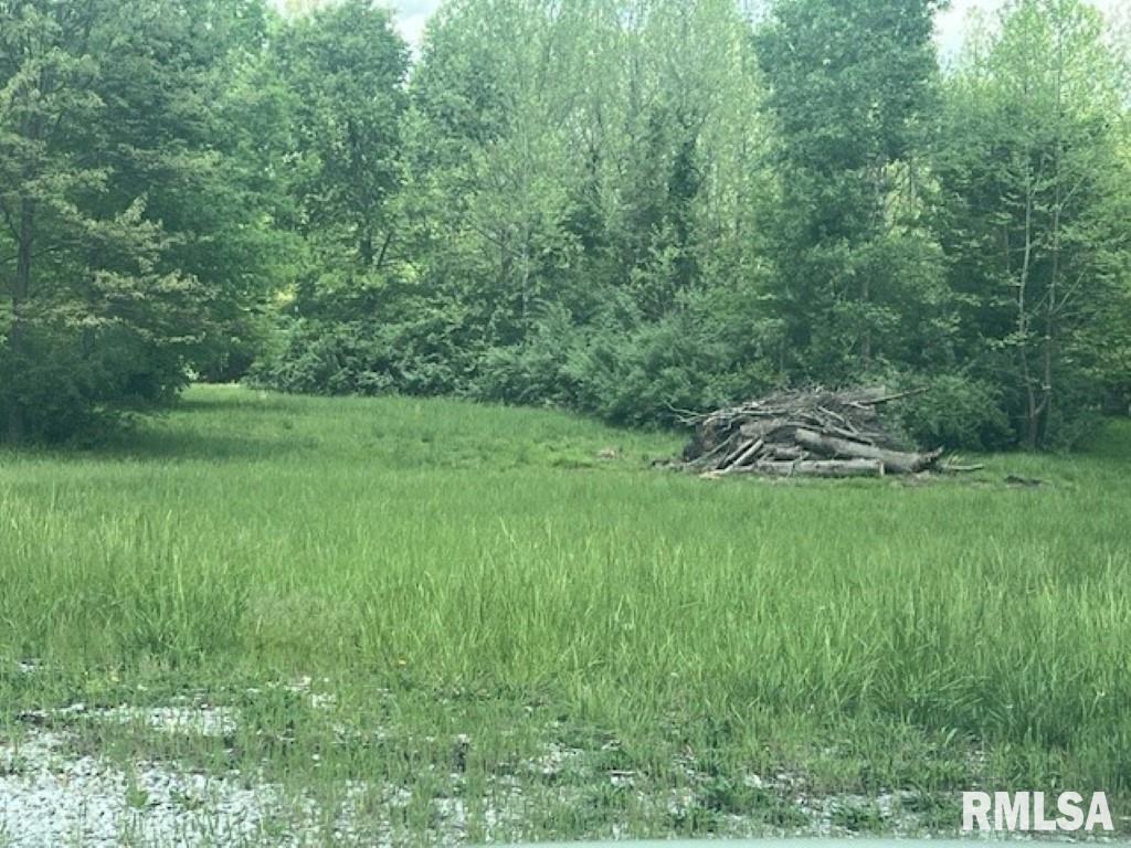 3600-lot18) Ridgecrest Drive Mount Vernon, IL 62864 - Photo 6 of 15 a view of a lush green space
