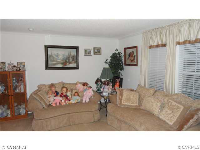 17206 Hamilton Arms Road Dewitt, VA 23840 - Photo 2 of 12 a living room with furniture and a couch