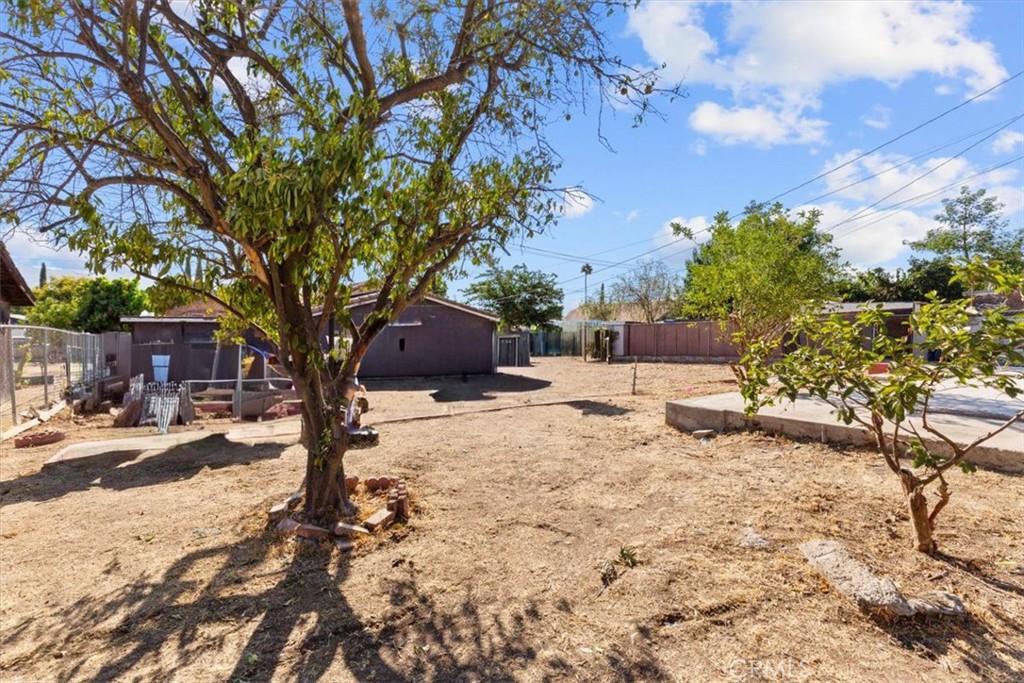 3715 South Neece Street Corona, CA 92879 - Photo 20 of 20 a tree in the middle of a yard