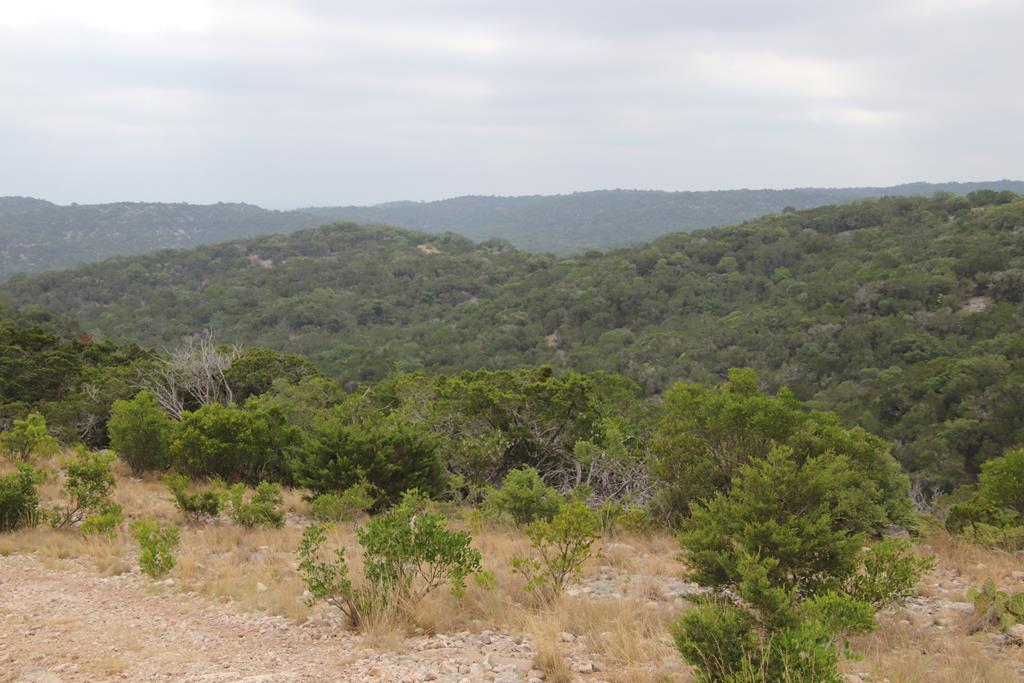 2521 Sd 31600 Rocksprings, TX 78880 - Photo 50 of 58