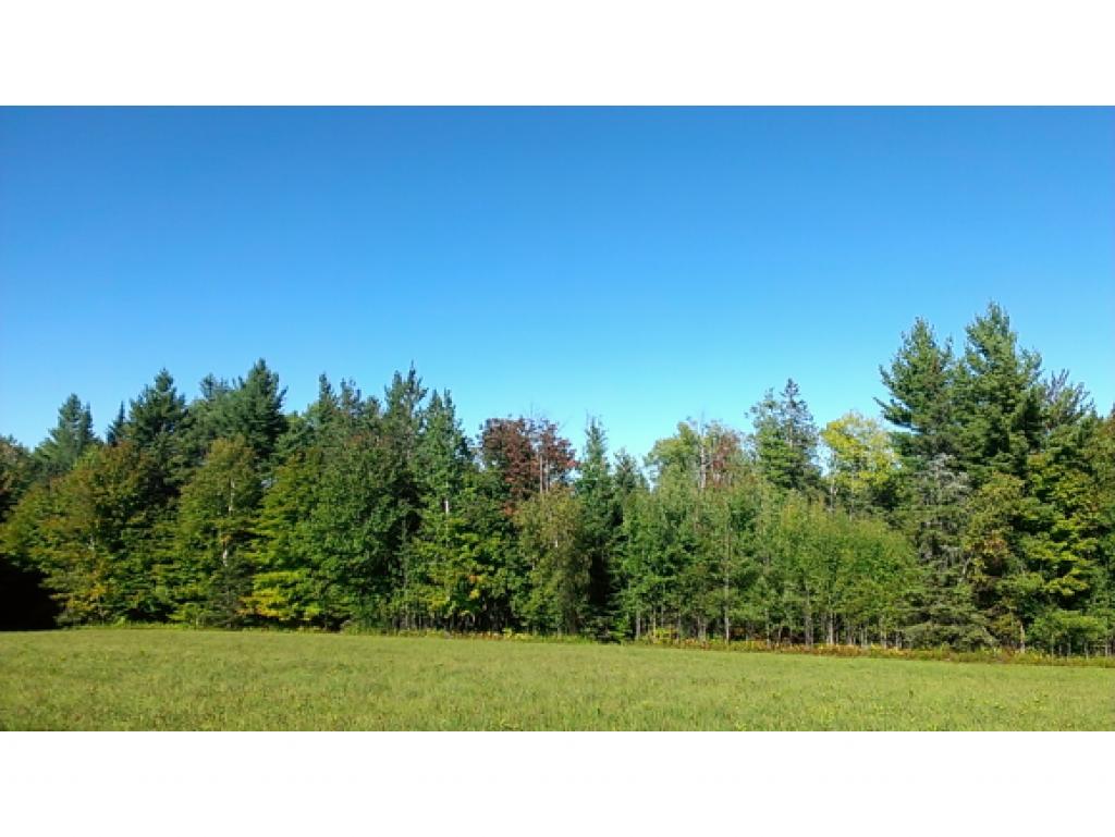 1339 Rowell Brook Road Corinth, VT 05039 - Photo 8 of 15