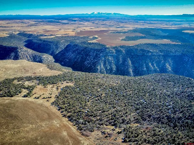 $2,999,999 | 16 19444 Road, Yellow Jacket, CO 81335