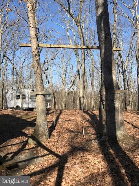 507 Easter Ridge Lane Winchester, VA 22603 - Photo 17 of 30 a backyard of a house with lots of green space