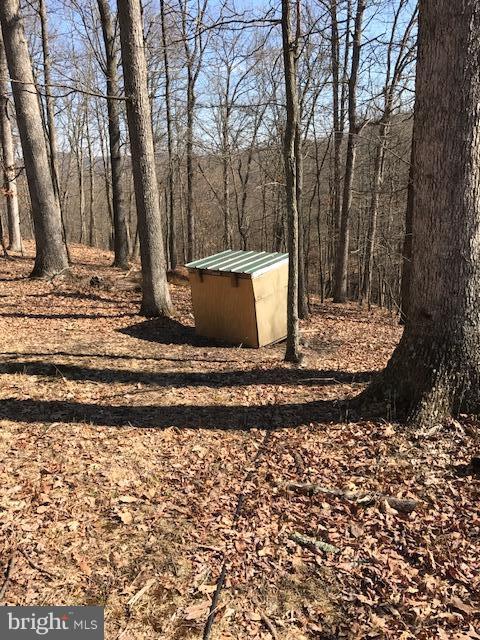 507 Easter Ridge Lane Winchester, VA 22603 - Photo 18 of 30 a view of a yard with trees