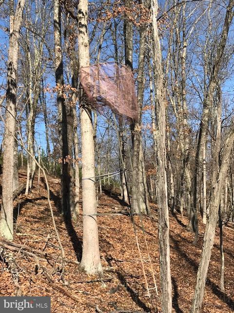507 Easter Ridge Lane Winchester, VA 22603 - Photo 24 of 30 a picture of street view