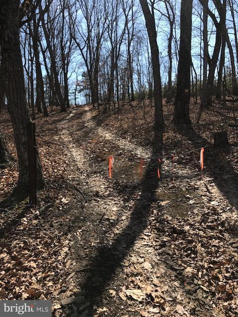 507 Easter Ridge Lane Winchester, VA 22603 - Photo 30 of 30 a view of a yard with lots of trees