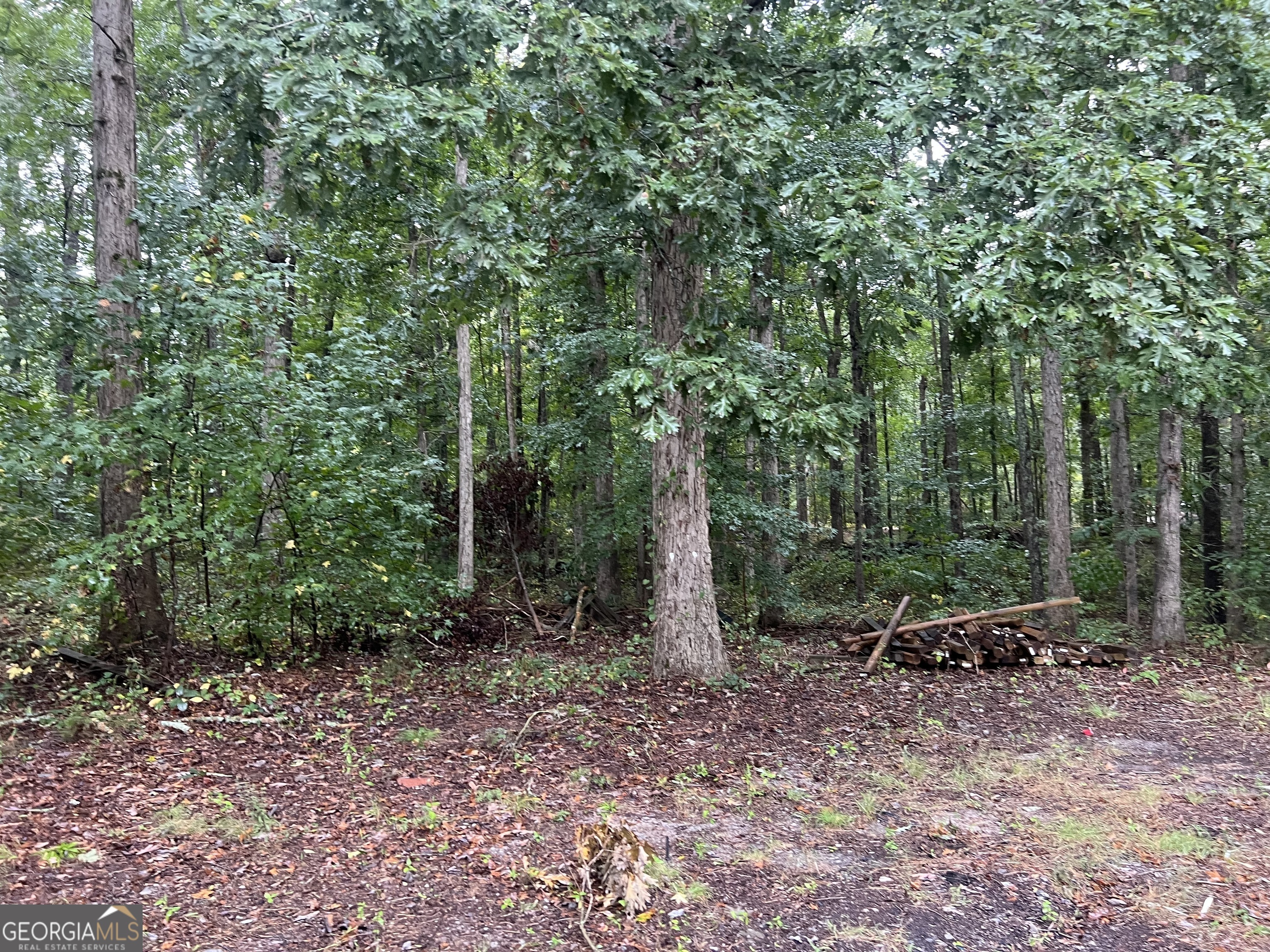 0 Cook Road Southwest Stockbridge, GA 30281 - Photo 1 of 1