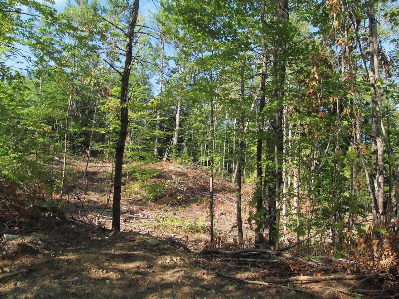 8 Norton Road Dixfield, ME 04224 - Photo 24 of 34 IMG_1468