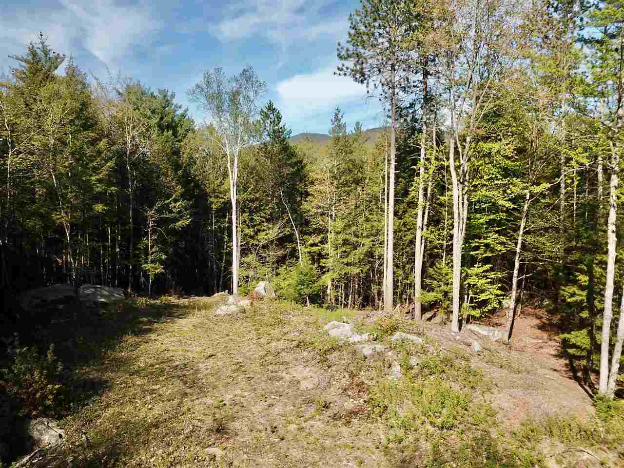 49 Kearsarge Valley Road North Sutton, NH 03260 - Photo 2 of 5