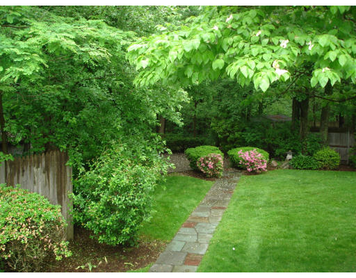 24 Helene Road Newton, MA 02468 - Photo 9 of 10 a view of a backyard with plants and a garden