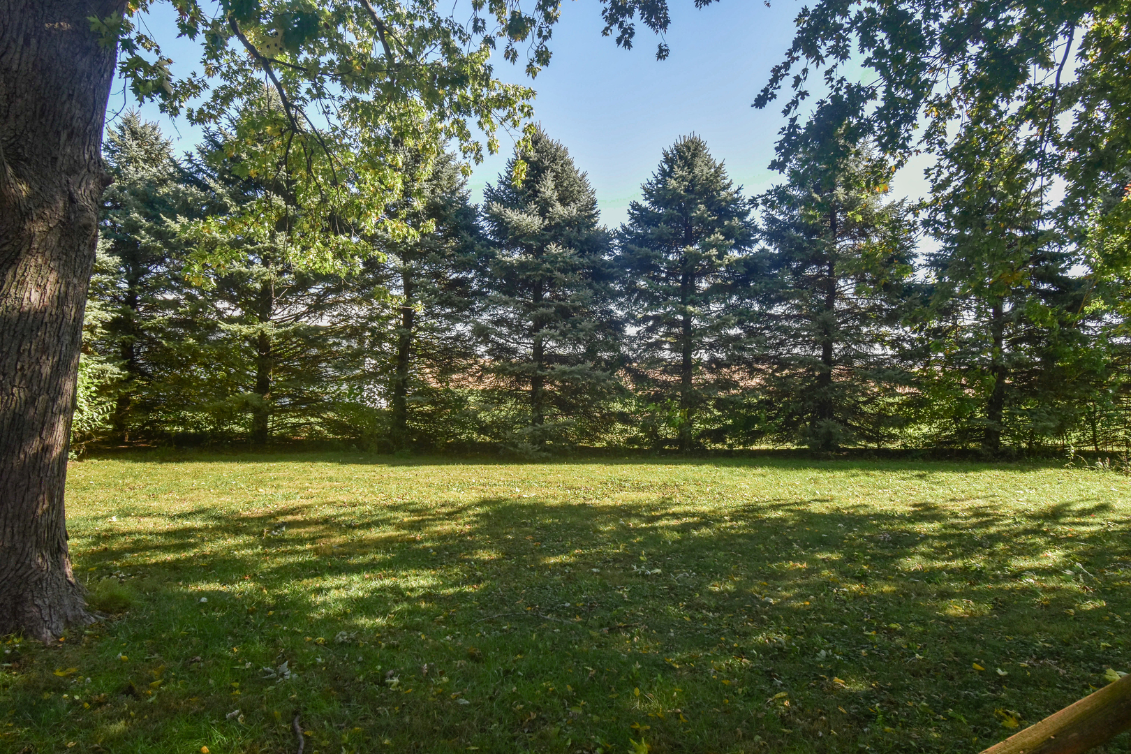 506 Boxelder Street Odell, IL 60460 - Photo 5 of 15 a view of a field with an outdoor space