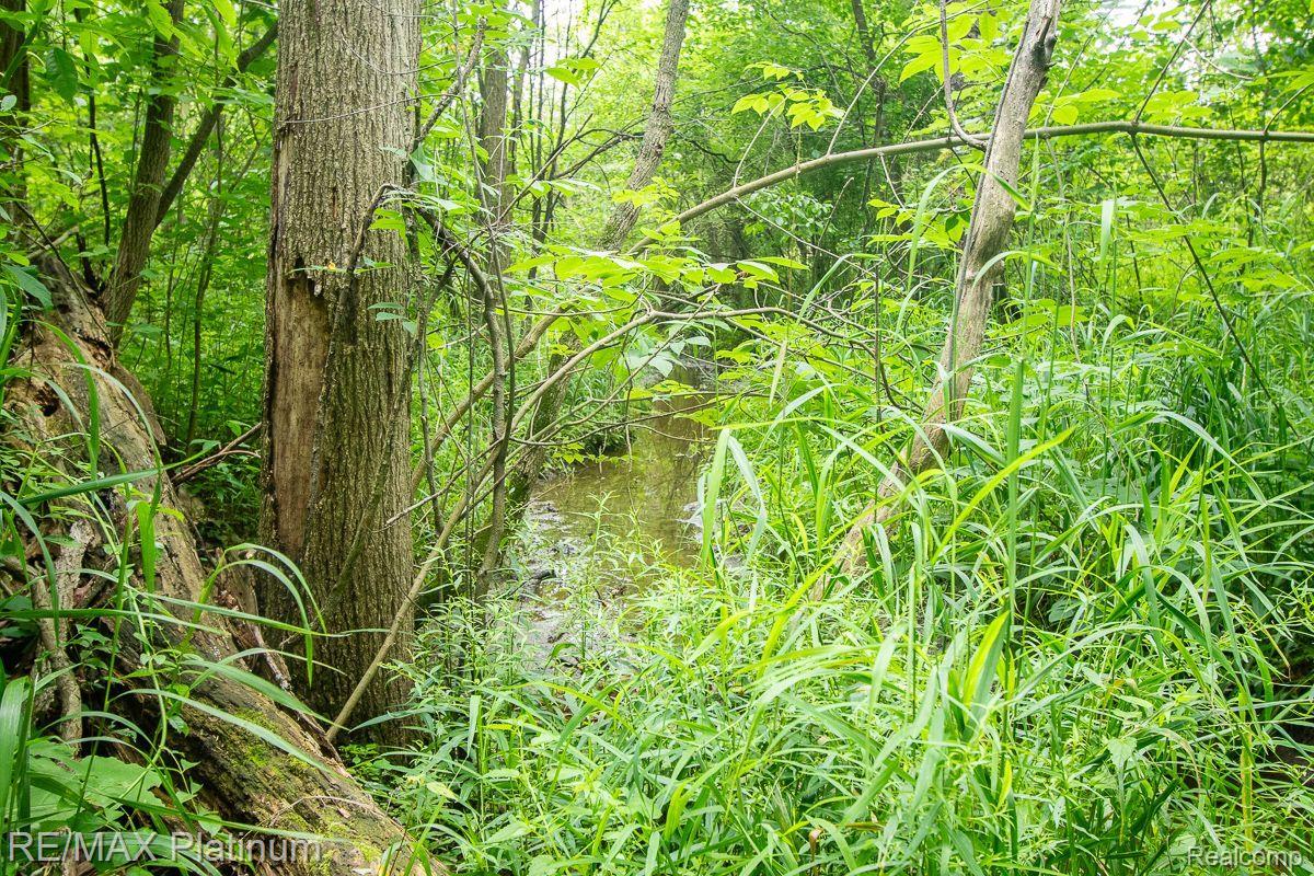 8264 Green Road Fenton, MI 48430 - Photo 39 of 40 Creek running through property