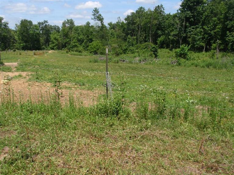 11 Liberty Road Eubank, KY 42567 - Photo 9 of 15 Additional Photo
