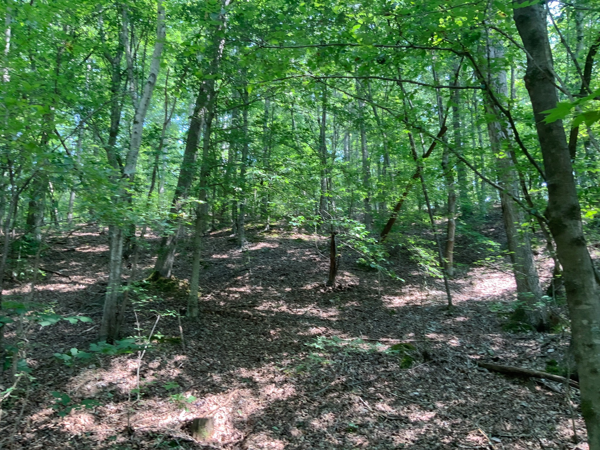 234 Lower Standing Rock Road Dover, TN 37058 - Photo 49 of 68 Gallery Image 49