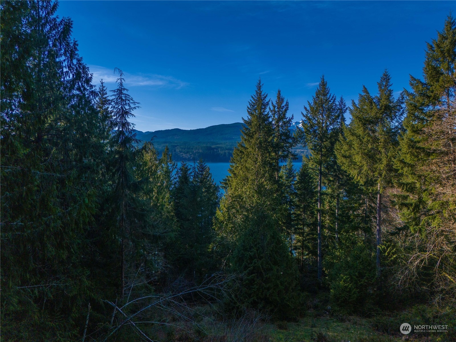 19780 Northeast North Shore Road Tahuya, WA 98588 - Photo 1 of 10 Gallery Image 1