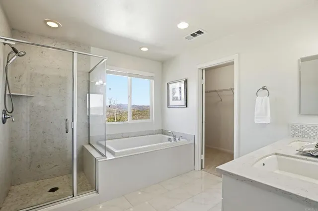 a bathroom with a tub a sink shower and mirror