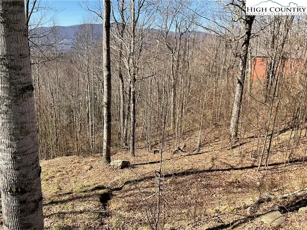 $125,000 | Tbd Lot 8 Tbd Drive, Elk Park, NC 28622